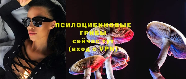 мяу мяу мука Богданович