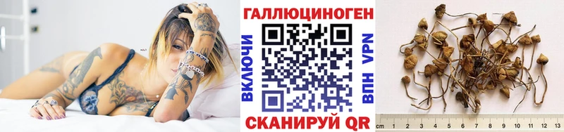 Псилоцибиновые грибы мухоморы Малая Вишера